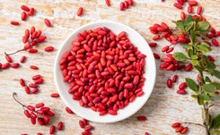 Berberys na odchudzanie. Czy warto? Jak działa berberyna?