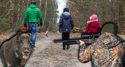 Mieszkańcy Choszczówki drżą o swoje życie. Myśliwi strzelają w pobliżu ich domów