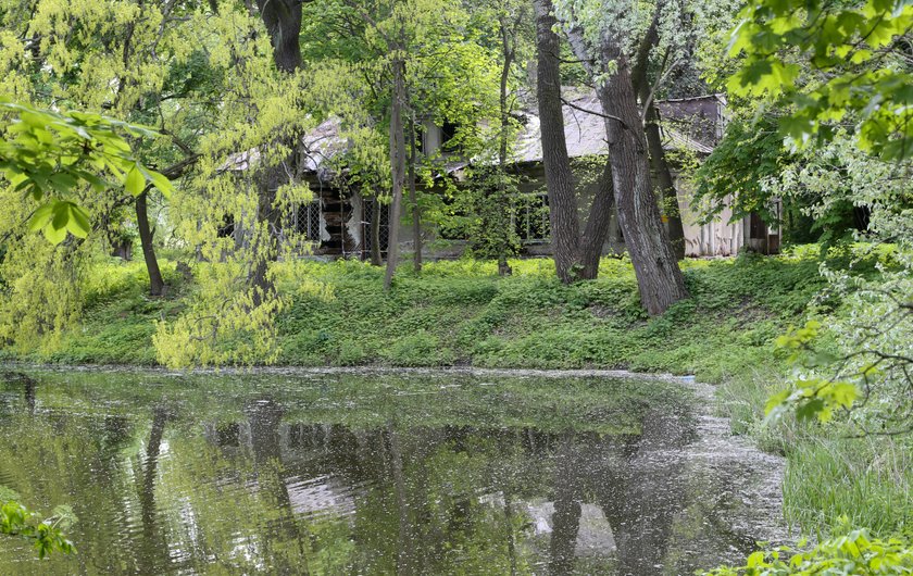 Jest ratunek dla drewniaków