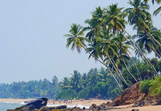 5 powodów, dla których warto odwiedzić Sri Lankę w listopadzie