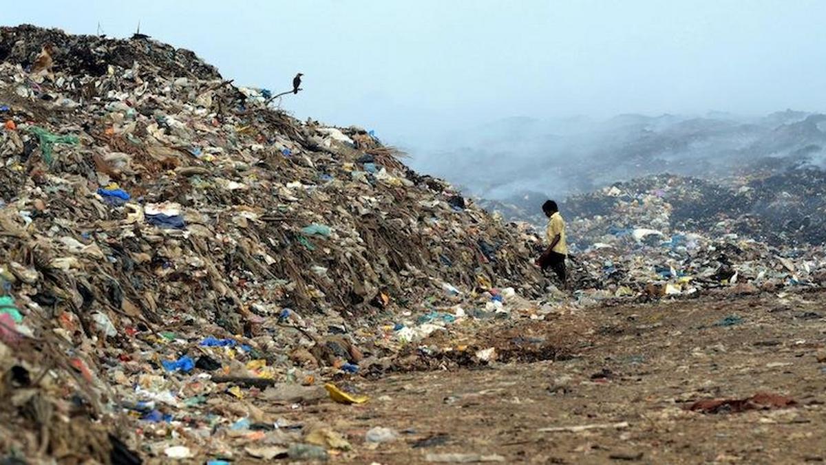 dzien´ ziemi 7 wysypisko śmieci w indiach