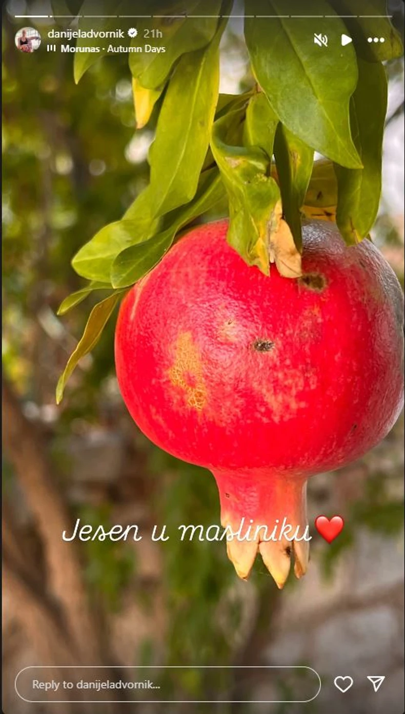 Danijela Dvornik pokazala dvorište