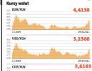 Rząd mrozi euro. Firmy się cieszą
