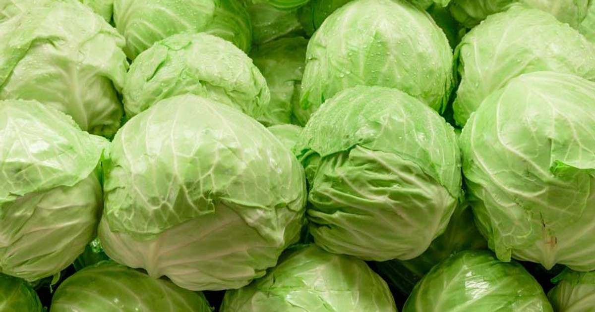 Does cabbage juice really help in treating ulcers? Pulselive Kenya