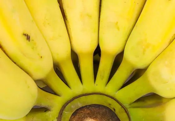 Dieta bananowa: zasady słodkiego menu