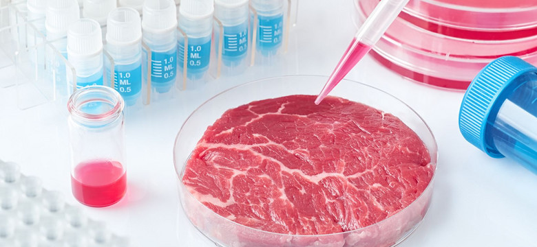 Mięso dzikich zwierząt źródłem chorób zakaźnych? Naukowcy podają dane