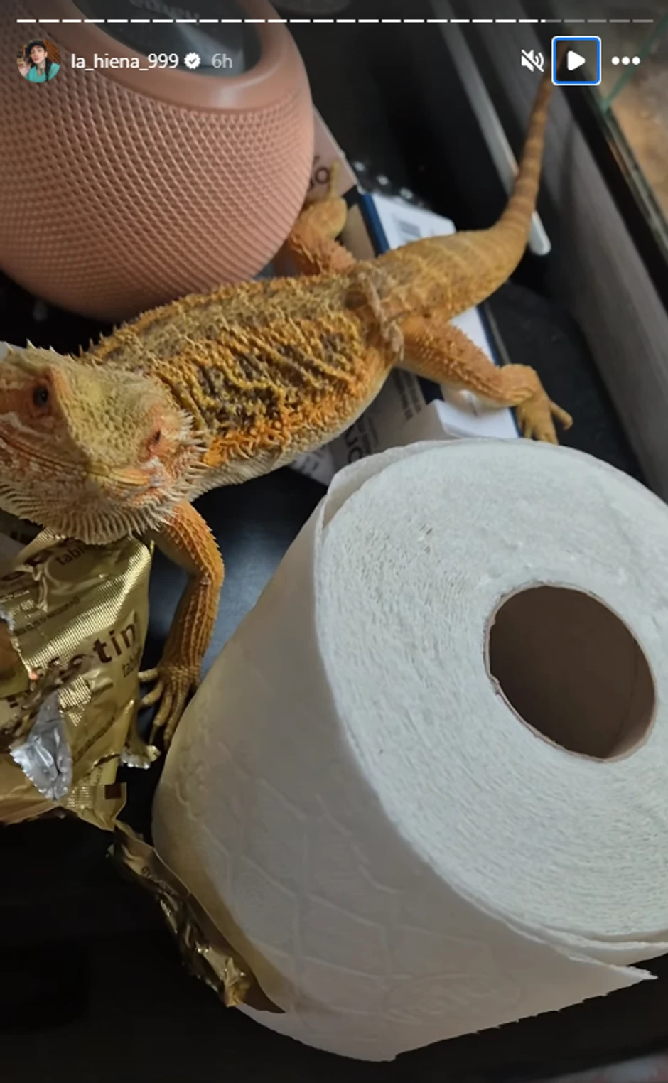 Dunja Ilić pokazala ljubimca