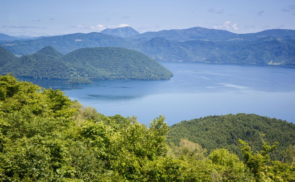 Las na wyspie Hokkaido