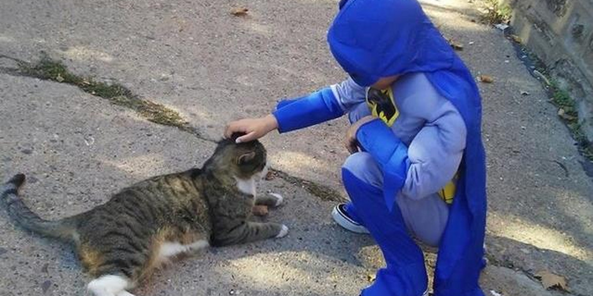 Przebiera się za superbohaterów, by ratować bezdomne koty