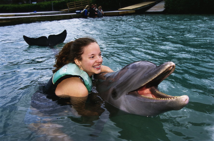 W trakcie "tresury" delfiny są łamane psychicznie i mogą popaść w depresję