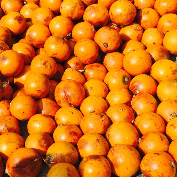 African star apple/Agbalumo/Udara