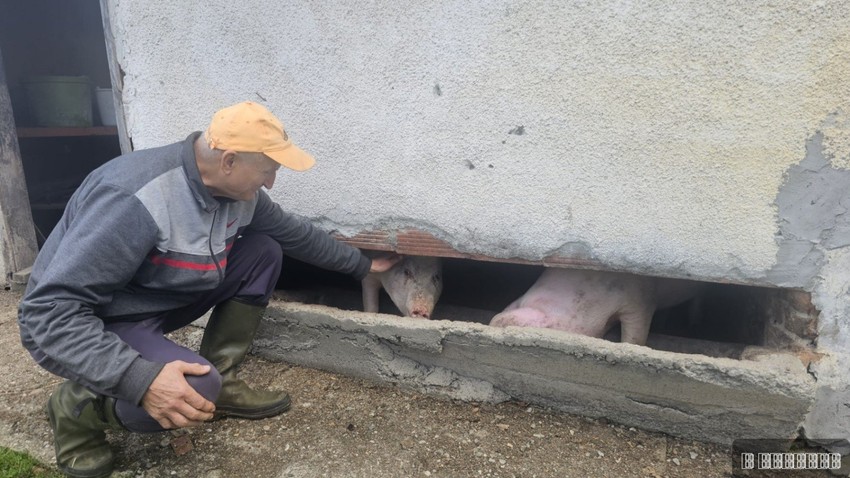 Nije važno kako izgleda. Kod mene ima svoje mesto - kaže Boško