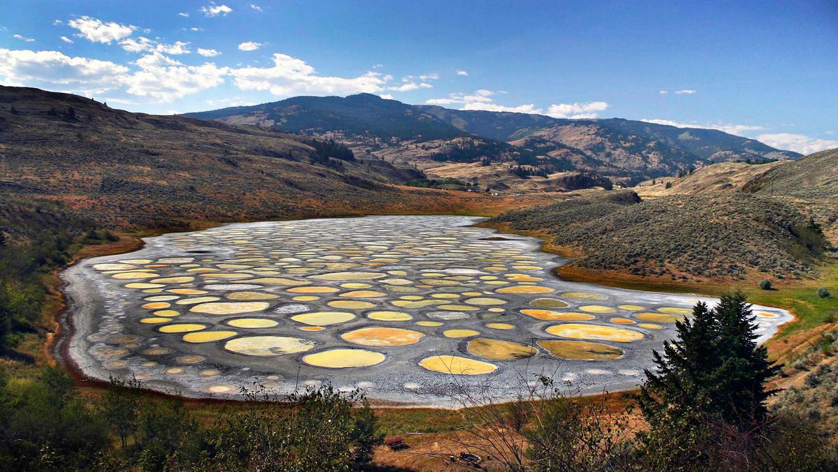 Spotted Lake / Spotted Lake /598758