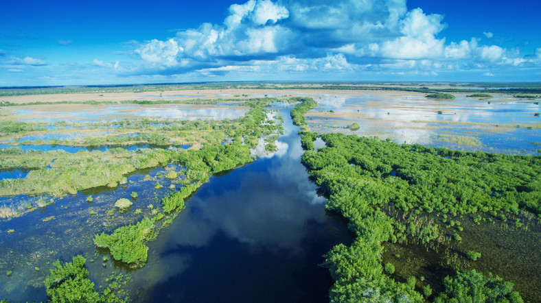 Park Narodowy Everglades