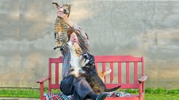 Kutyák és macskák együttélése: így kerülhetők el a konfliktusok már az első naptól kezdve