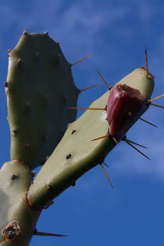 Wyspa Jeju i jej atrakcje