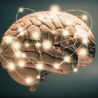 Fontos magyar felfedezés a Parkinson-kór, a skizofrénia és az Alzheimer-kór területén