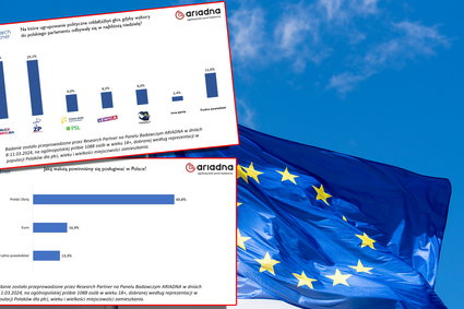 Kto wygra wybory do PE? Co z euro w Polsce? [SONDAŻ]