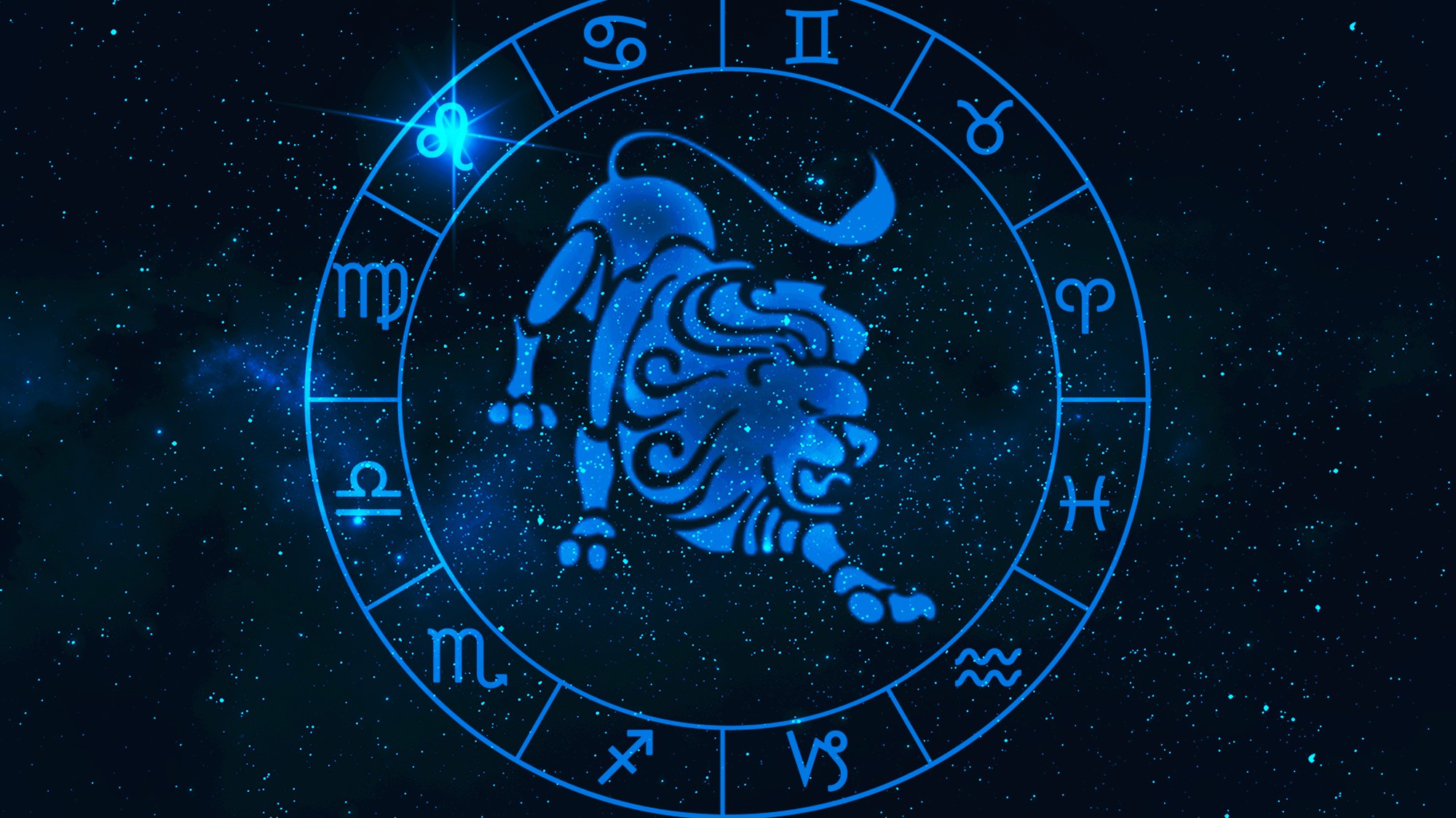 Lev (ilustračné foto)