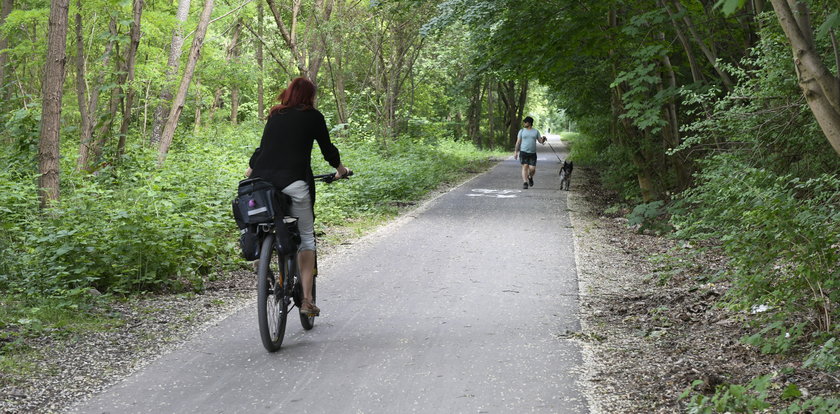 Zielona sieć ścieżek dla pieszych i rowerzystów. Kolejny odcinek połączył Promenadę Krzycką z Parkiem Skowronim