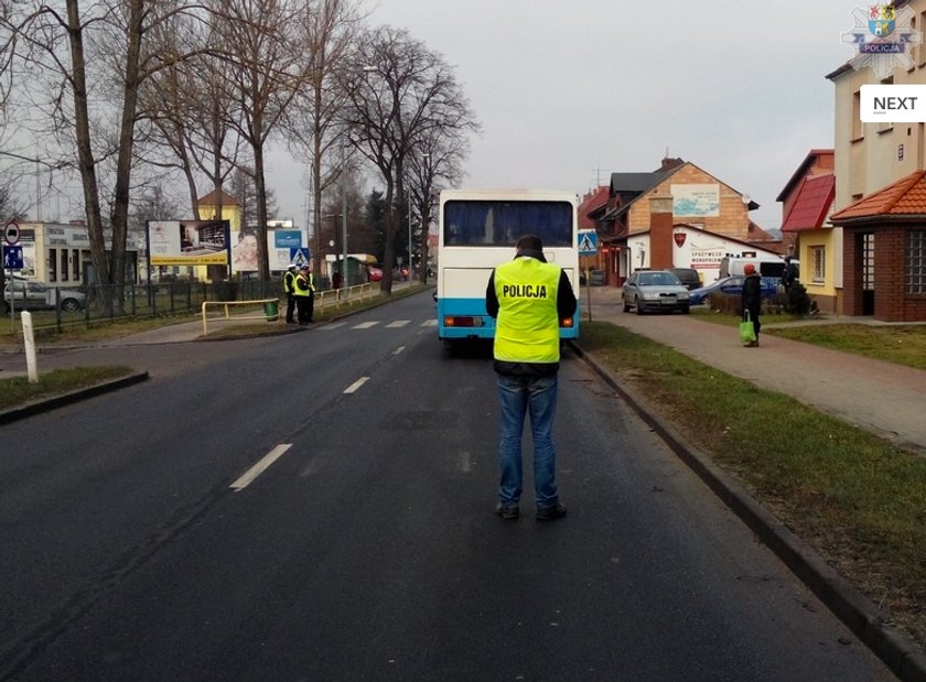 policjanci badają miejsce wypadku