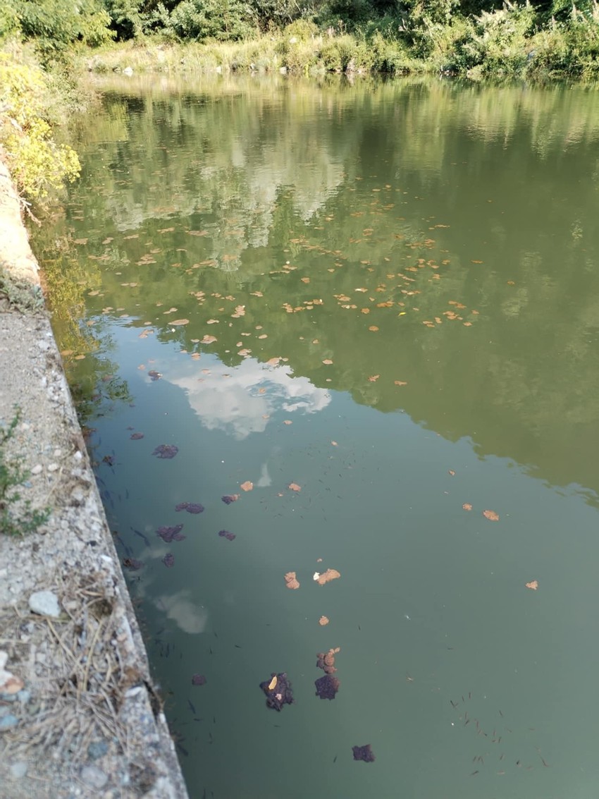 A ovde se mladi kupaju leti