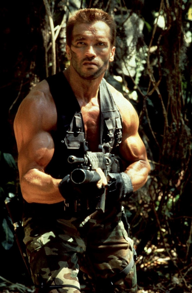 Arnold Schwarzenegger / fot. East News