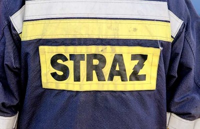 PSP: Tegoroczne pożary lasów przyniosły już ponad 43 mln zł strat