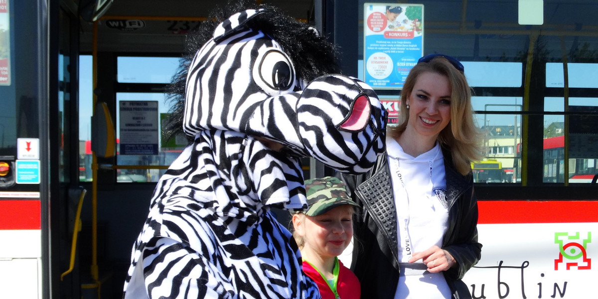 Zebra uczy zasad zachowania się w autobusie.