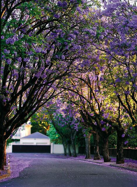 Galeria Australia - Półwysep Fleurieu, obrazek 5