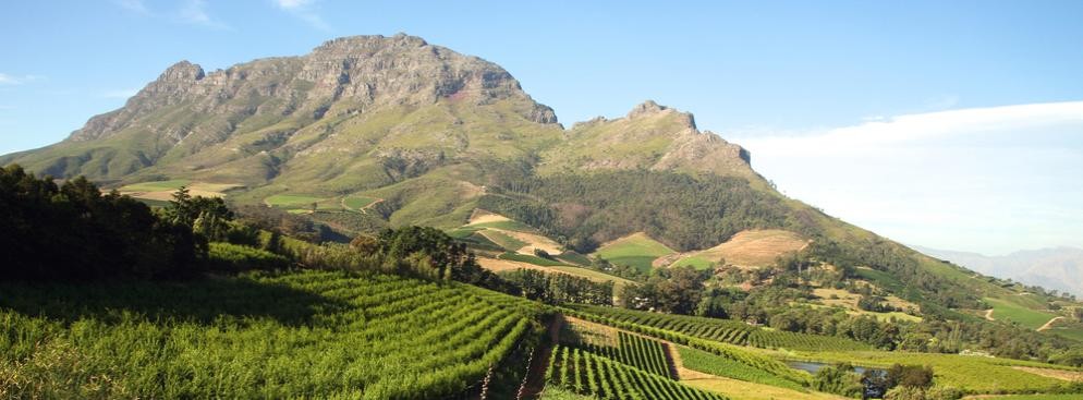 14. Stellenbosch w Republice Południowej Afryki