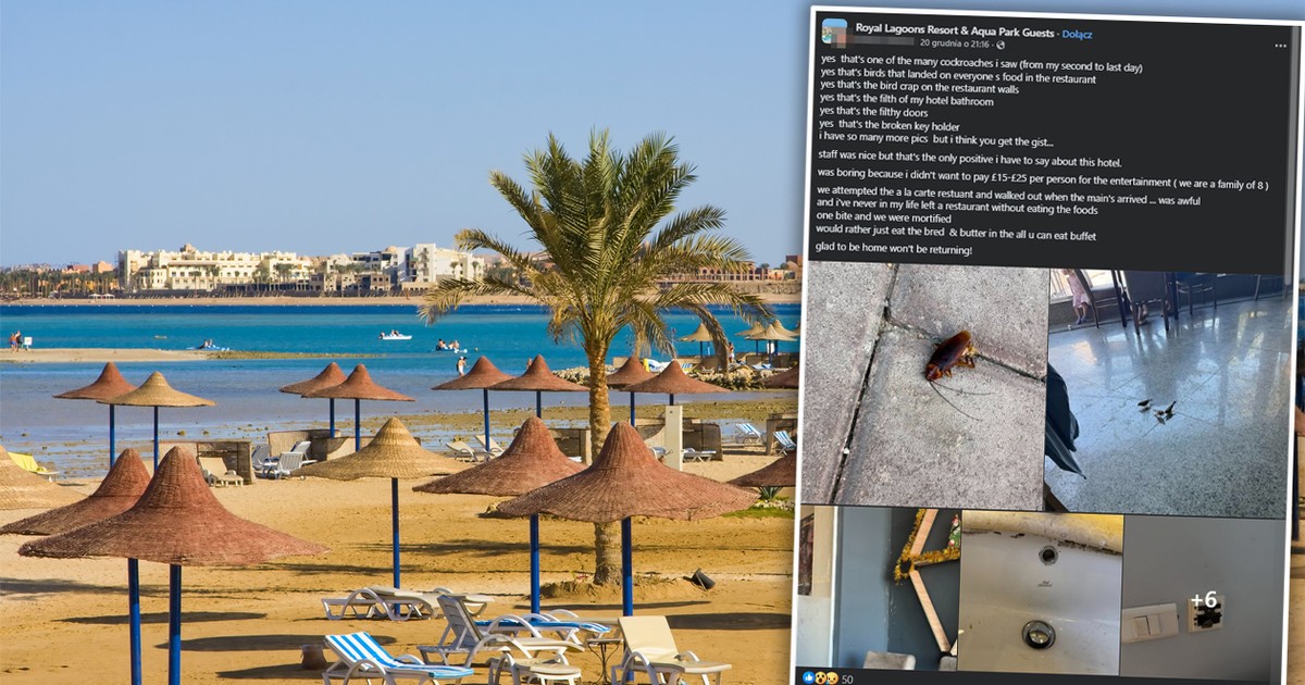 Miał być luksusowy urlop w Egipcie, a było obrzydzenie. "Karaluchy i ptaki lądowały na naszym jedzeniu"