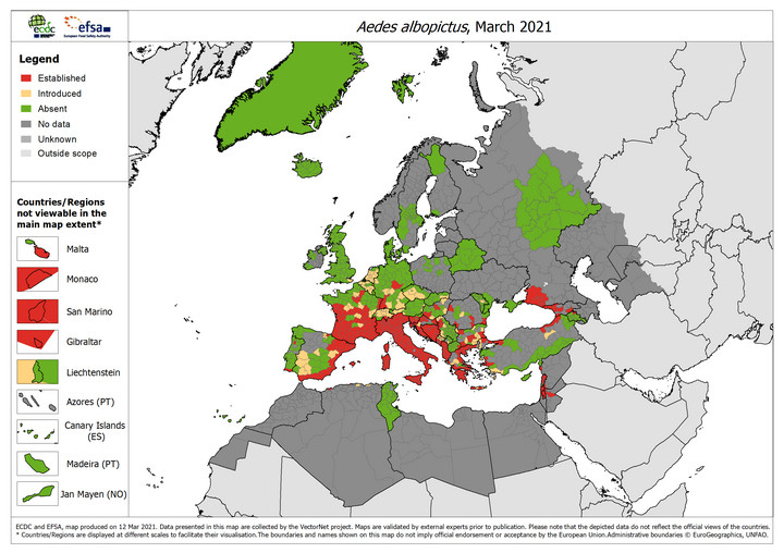 Europa. Mapa występowania komara tygrysiego