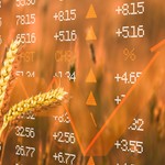 Preko Produktne berze ukupno je prometovano 1.621 tona robe, finansijske vrednosti 45.738.796,00 dinara.