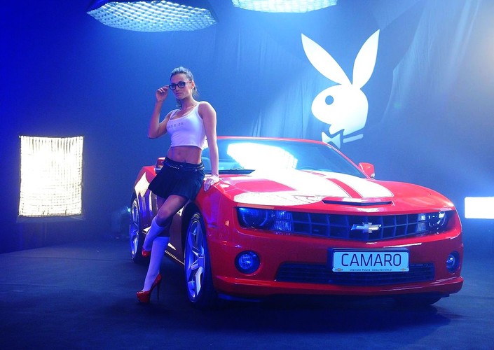 Króliczek i chevrolet camaro
