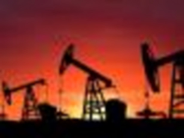 Baryłka ropy West Texas Intermediate w dostawach na listopad na giełdzie paliw NYMEX w Nowym Jorku jest wyceniana po 44,78 USD, po zwyżce o 11 centów.