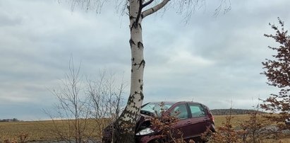 Opłakane skutki nadmiernej szybkości. Mercedes wylądował na drzewie, a dziecko w szpitalu