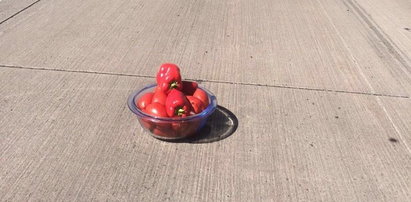 Policjanci znaleźli miskę papryki na autostradzie. To nie był żart