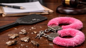 Zabijanie moli, kajdanki z różowym futerkiem i zasłanianie miejsc postojowych własnym ciałem. Znany prawnik skazany za koszmar, jaki zgotował pracownikom