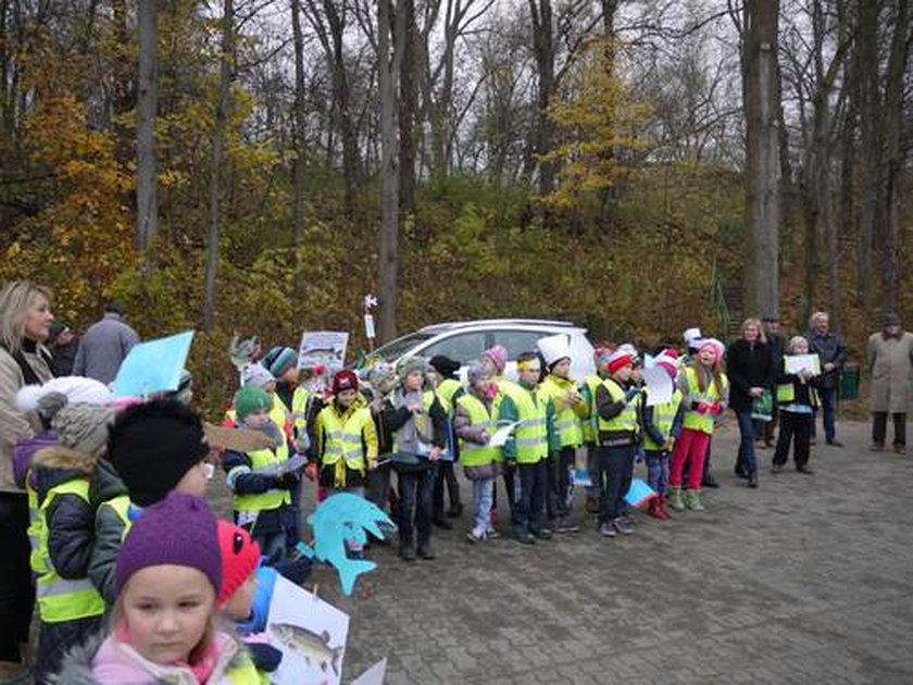 Małe szczupaki pomogą oczyścić jezioro