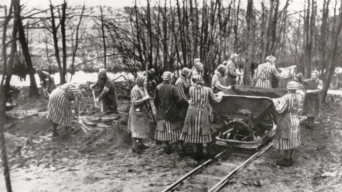 Germany, III. Reich, 1933-45: Concentration camps (KZ) /Women inmates working at the concentration camp near Ravensbruck, Germany. Undated photograph. 1943/44