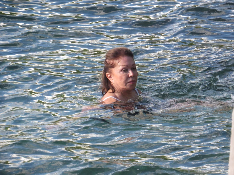 crna gora neda ukraden