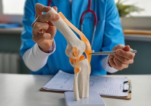 Za razliku od drugih vrsta tkiva, hrskavica se ne snabdeva krvlju, zbog toga je oštećenoj potrebno mnogo više vremena da zaraste