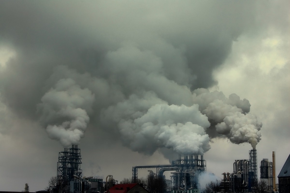 Ekolodzy twierdzą, że spalanie węgla wymieszanego z biomasą to żadna czysta energia, tylko ukryta forma subwencji dla elektrowni węglowych.