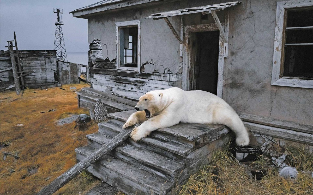 Opuszczona rosyjska stacja badawcza na Czukotce. 19 lutego 2025 r.