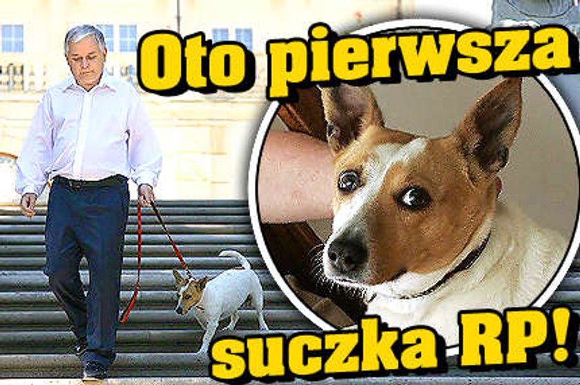 Oto pierwsza suczka RP!