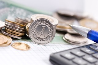 Administracja skarbowa jest mało skuteczna. Jesteśmy liderami w koszcie poboru podatków