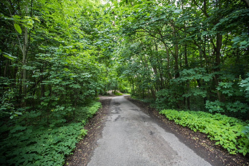 Przy Forcie IX będzie park i wybieg dla psów