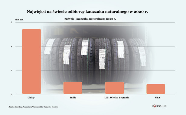 Najwięksi na świecie odbiorcy kauczuku naturalnego w 2020 r