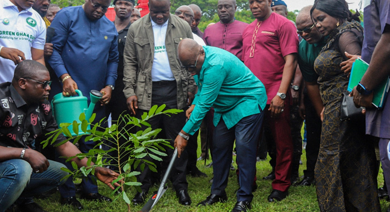 Green Ghana Day: 10 million seedlings to be planted